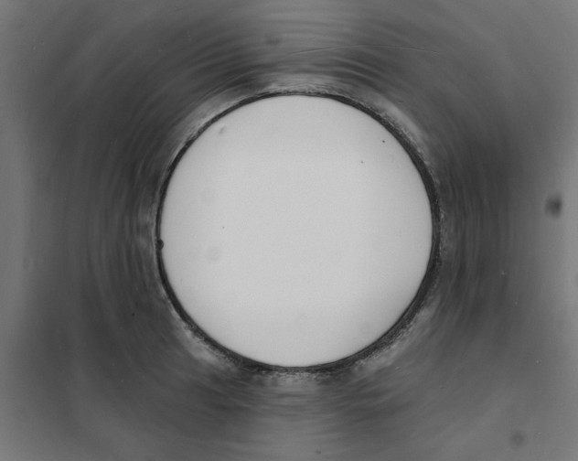 X0000101691041200808071129