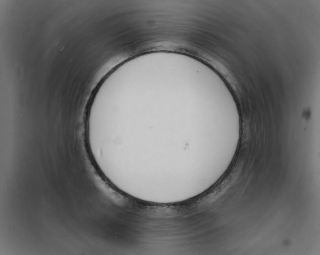 X0000101691042200808071129