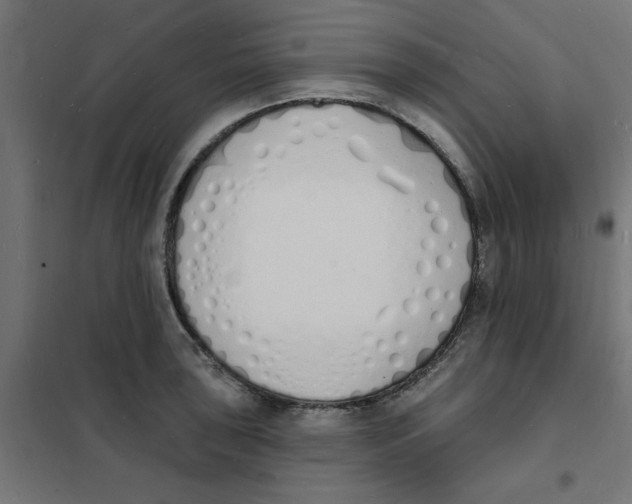 X0000101691043200808071129