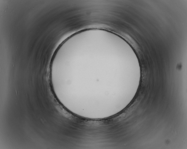 X0000101691044200808071129