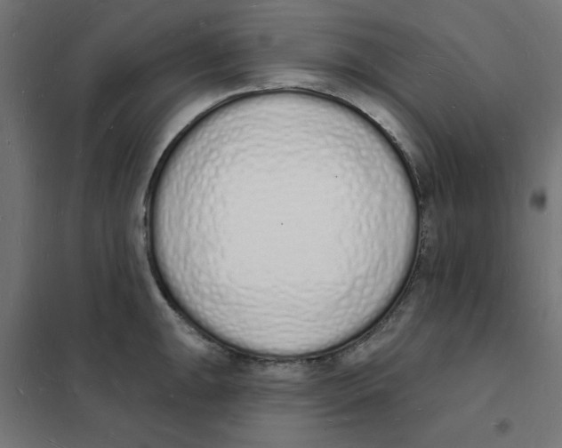 X0000101691047200808071129