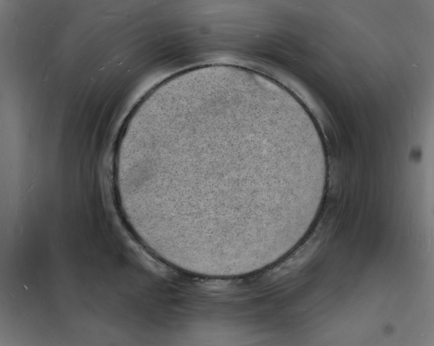 X0000101691048200808071129