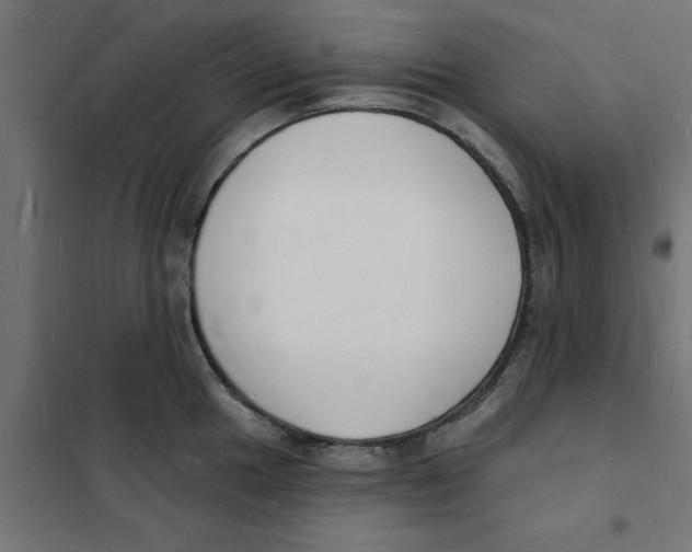 X0000101691049200808071129