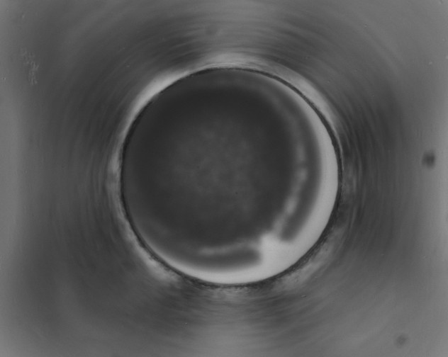 X0000101691053200808071129