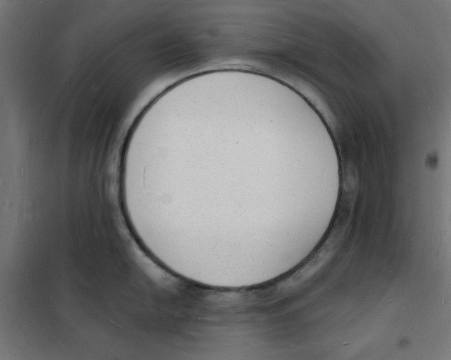 X0000101691054200808071129