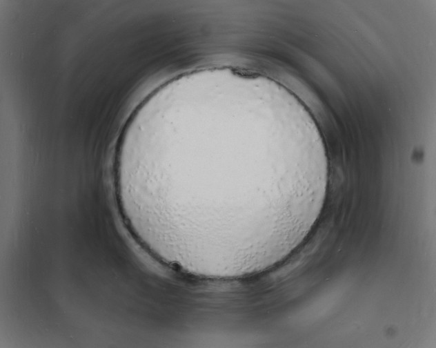 X0000101691055200808071129