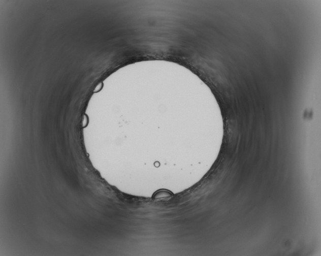 X0000101691057200808071128