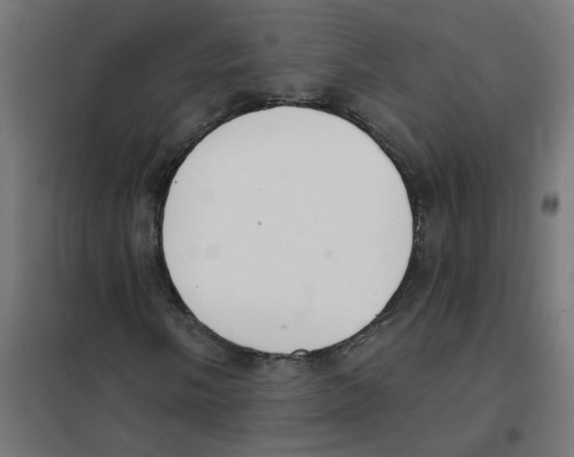 X0000101691058200808071128