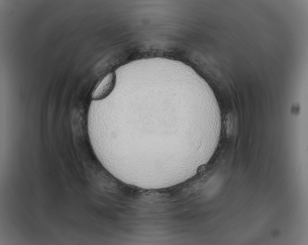 X0000101691059200808071128