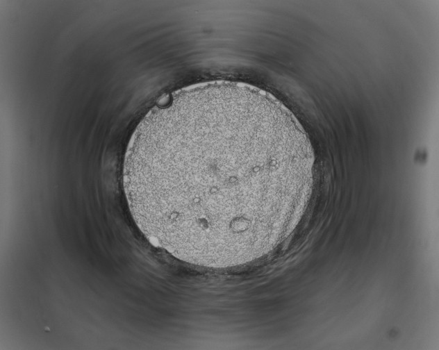 X0000101691060200808071128