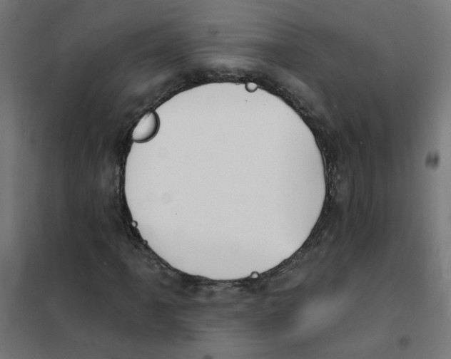 X0000101691061200808071128