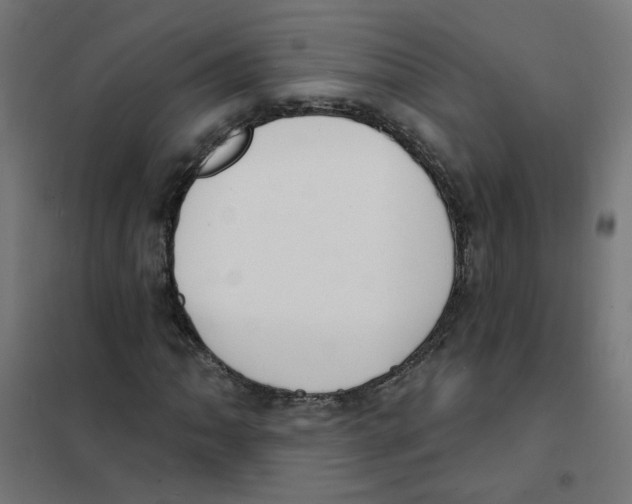 X0000101691062200808071128