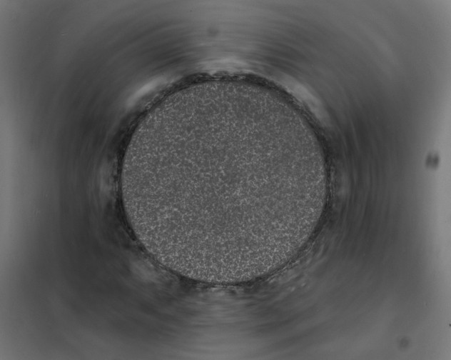 X0000101691063200808071128