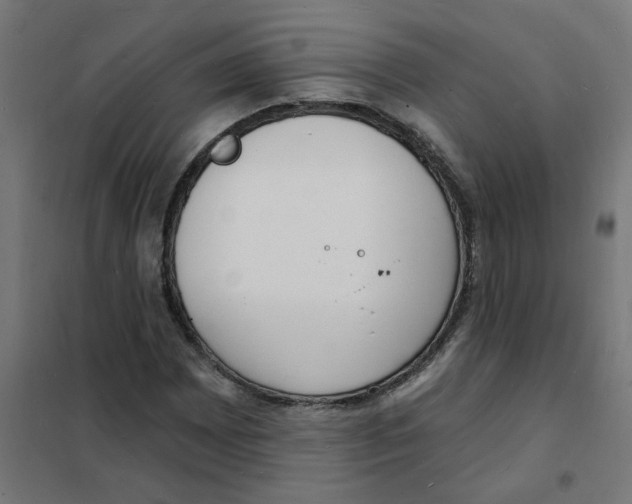 X0000101691065200808071128