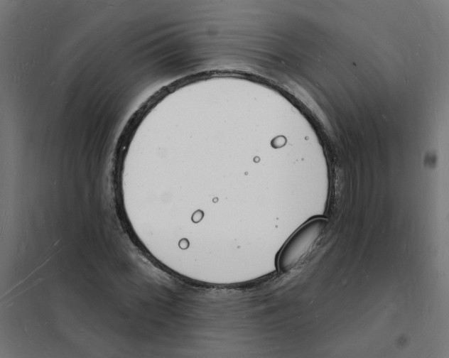 X0000101691068200808071128