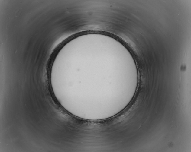 X0000101691070200808071128