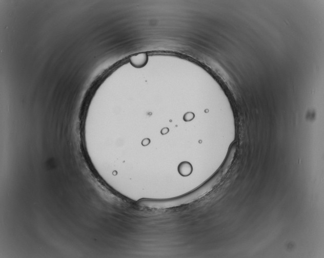 X0000101691072200808071128