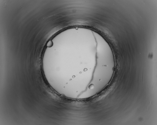 X0000101691073200808071128