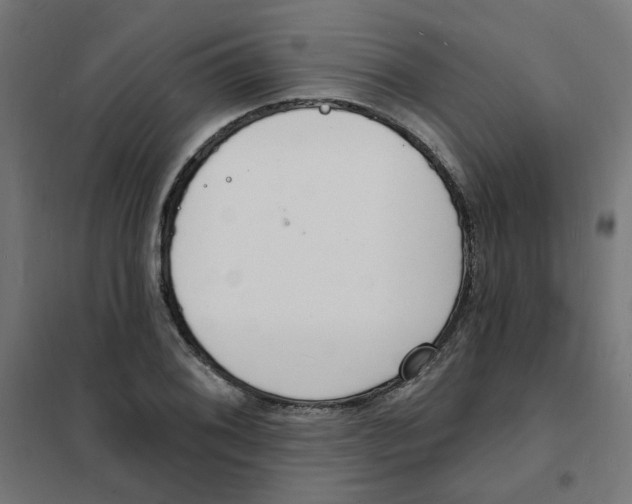 X0000101691076200808071128