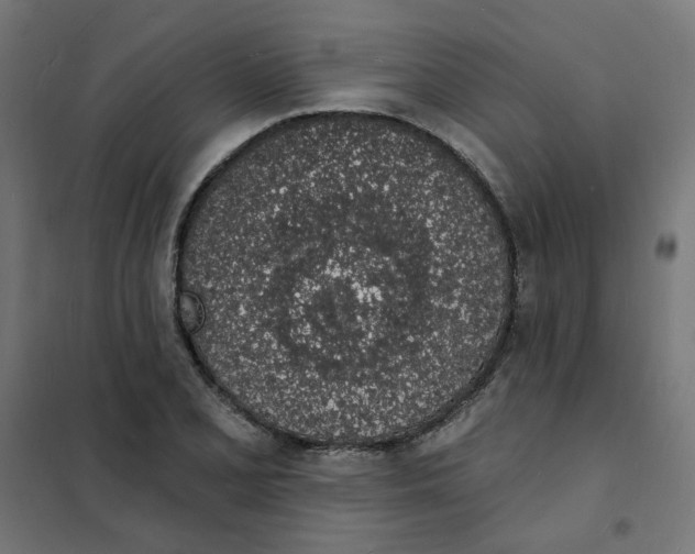 X0000101691077200808071128