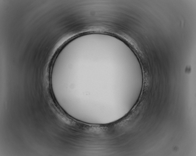 X0000101691078200808071128