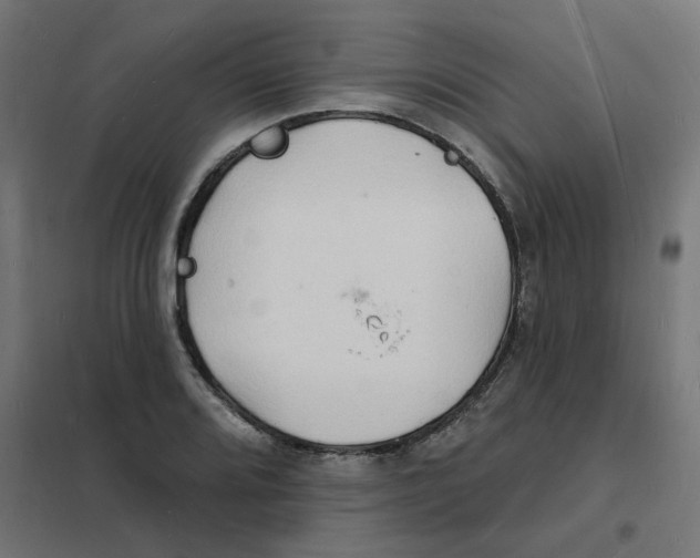 X0000101691080200808071128