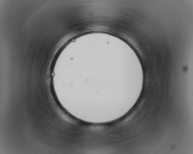 X0000101691082200808071128