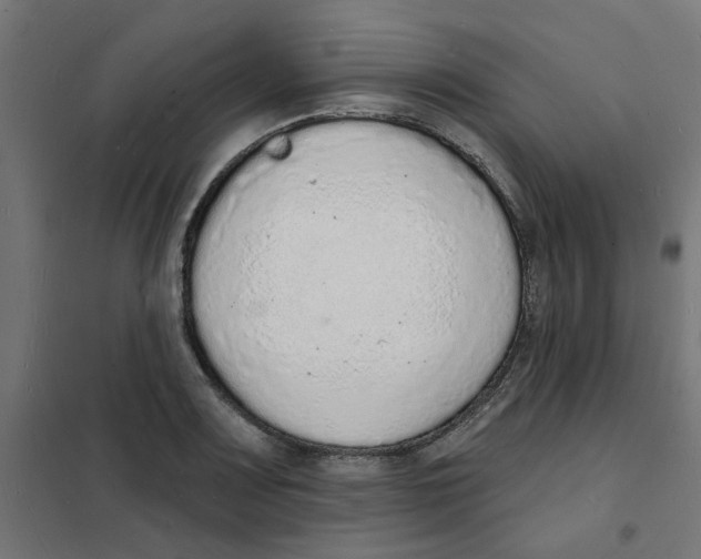 X0000101691083200808071128