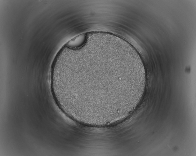 X0000101691084200808071128