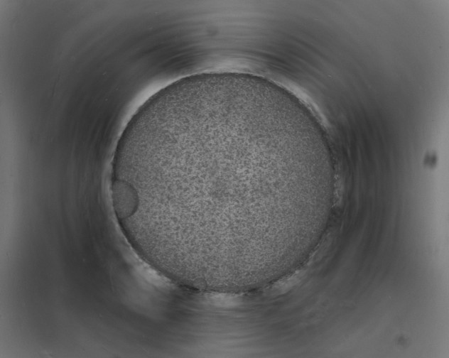 X0000101691086200808071128