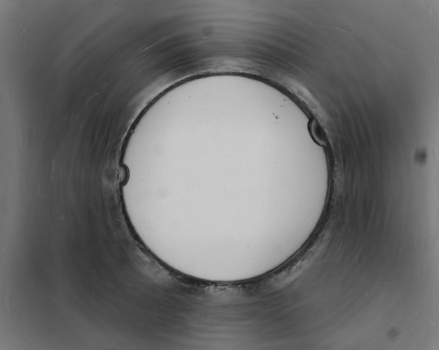 X0000101691089200808071128