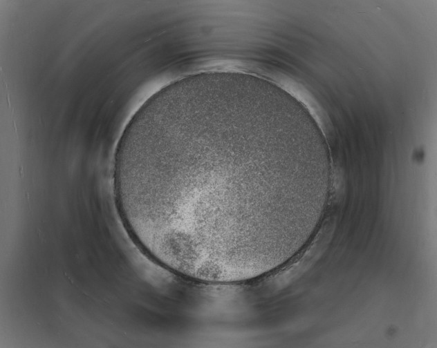 X0000101691090200808071128