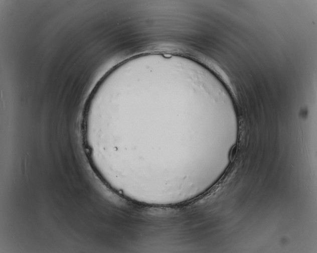 X0000101691091200808071128