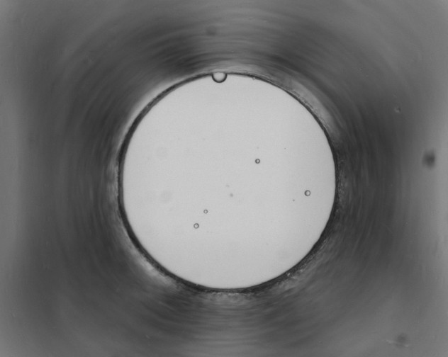 X0000101691092200808071128