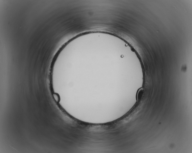 X0000101691093200808071128