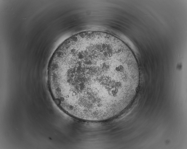 X0000101691095200808071127