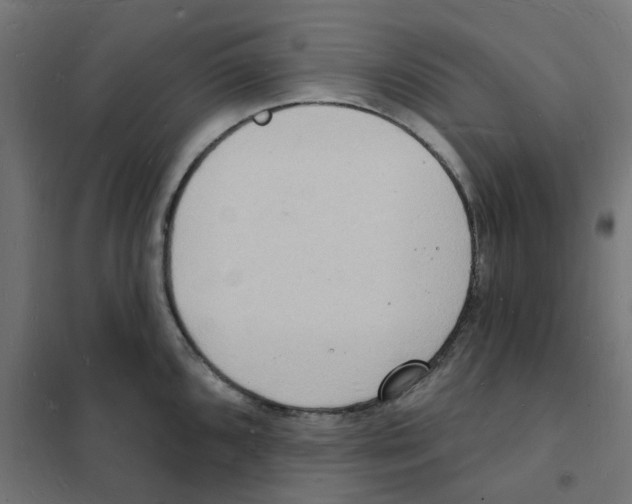 X0000101691096200808071127