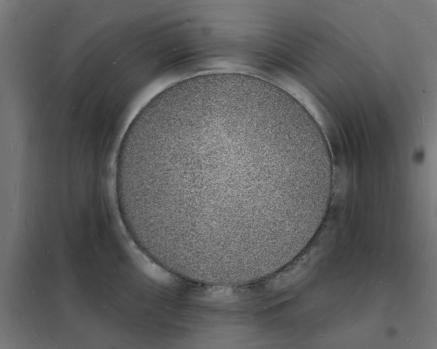 X0000101691098200808071127