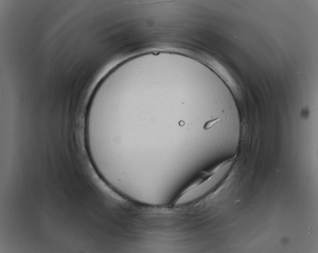 X0000101691100200808071127