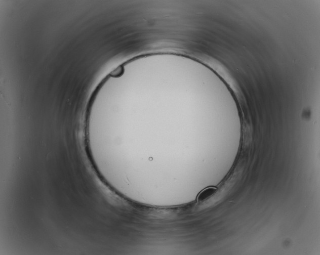 X0000101691101200808071127