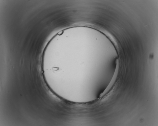 X0000101691102200808071127