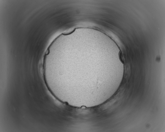 X0000101691103200808071127