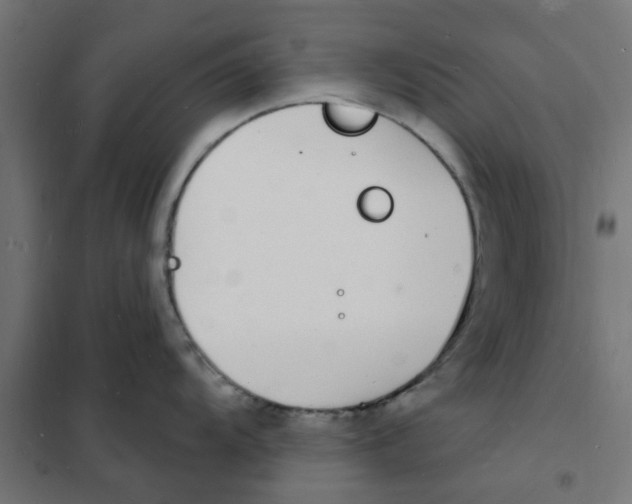 X0000101691104200808071127