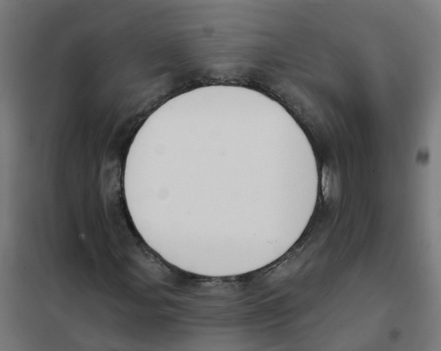 X0000101691107200808071127