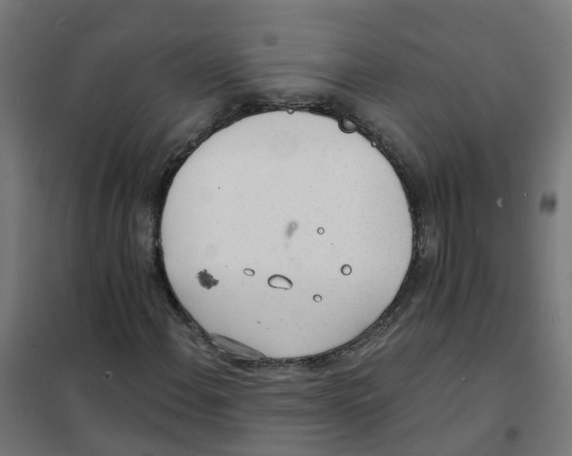 X0000101691108200808071127