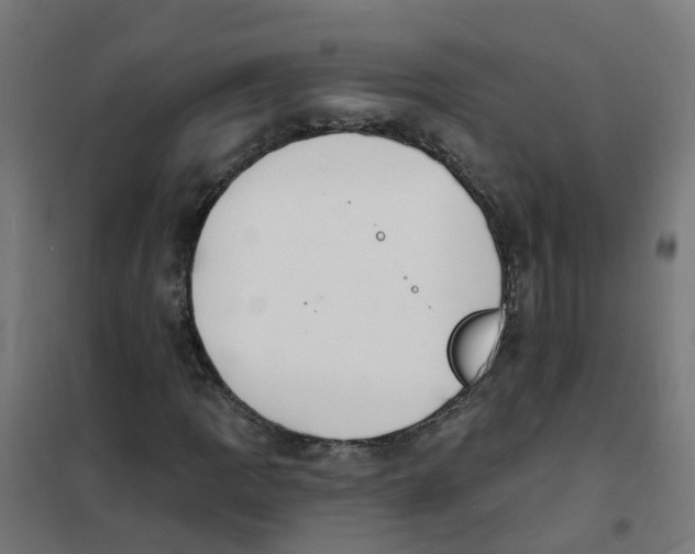 X0000101691109200808071127