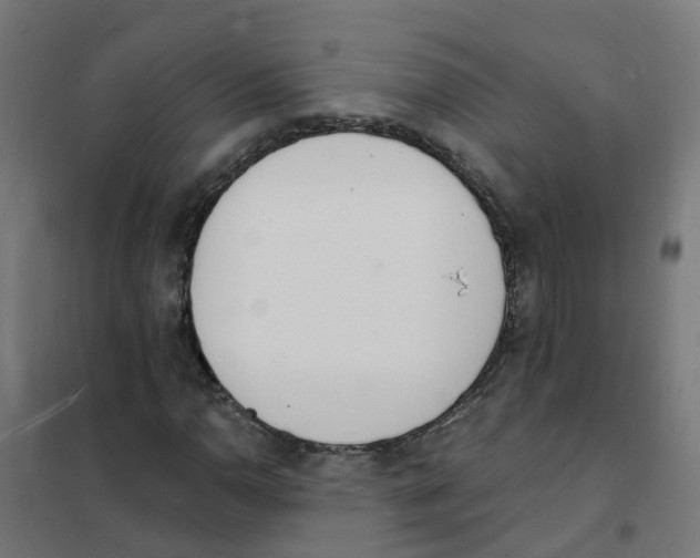 X0000101691110200808071127