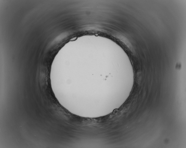 X0000101691111200808071127