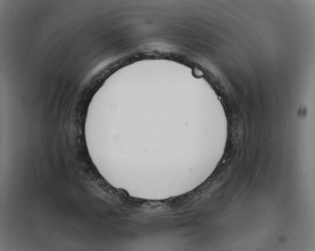 X0000101691112200808071127