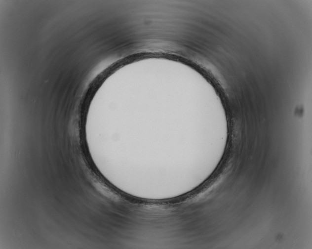 X0000101691114200808071127